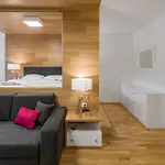 Appartement And Medvedin Špindlerŭv Mlýn