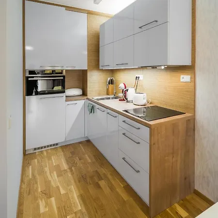 And Medvedin Apartment Spindleruv Mlyn