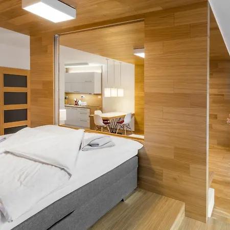 And Medvedin Apartment Spindleruv Mlyn